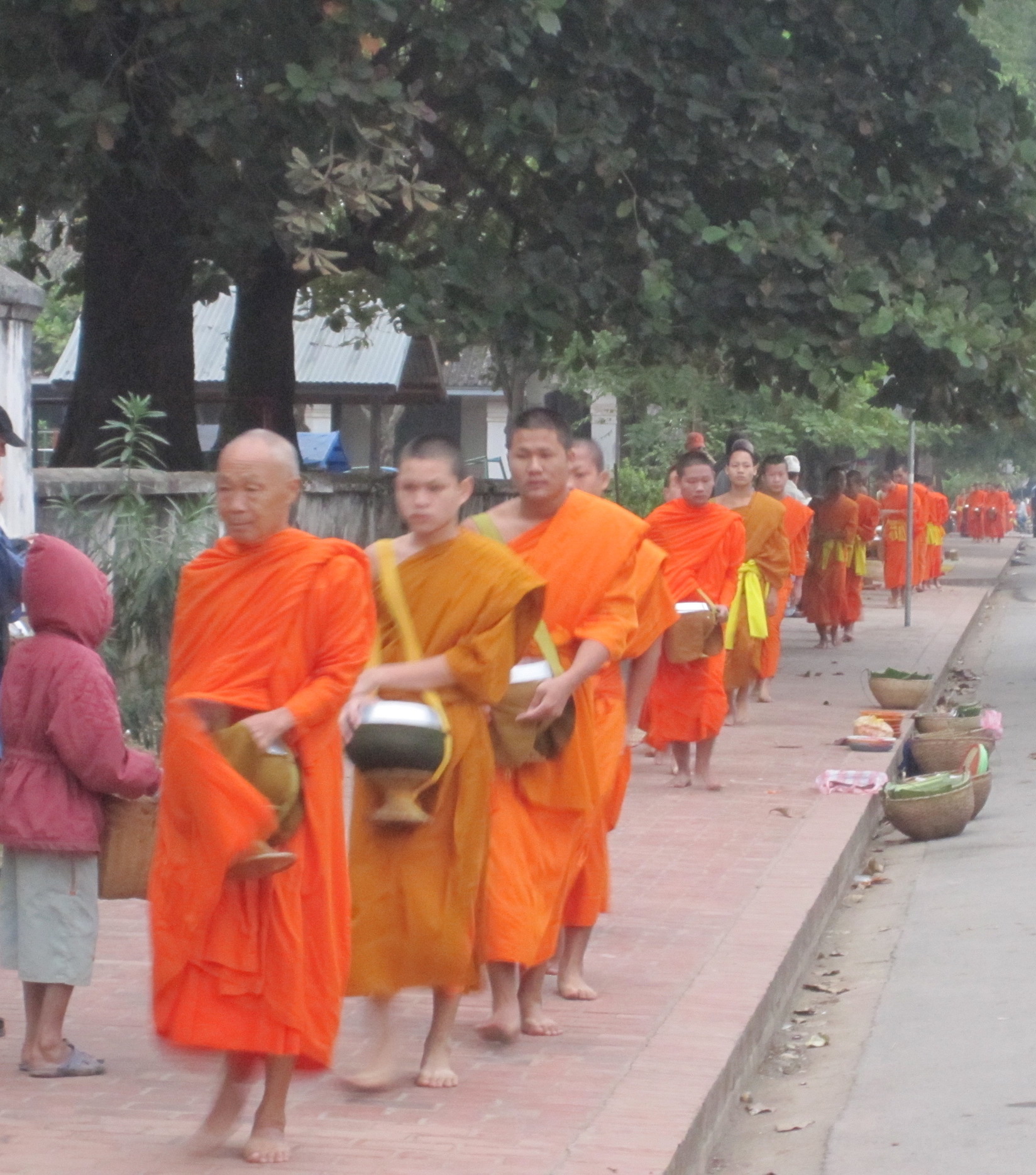Luang Prabang's morning ritual